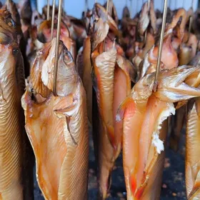 /estilo-de-vida/cuales-son-tipos-pescado-comer-dias-cuaresma