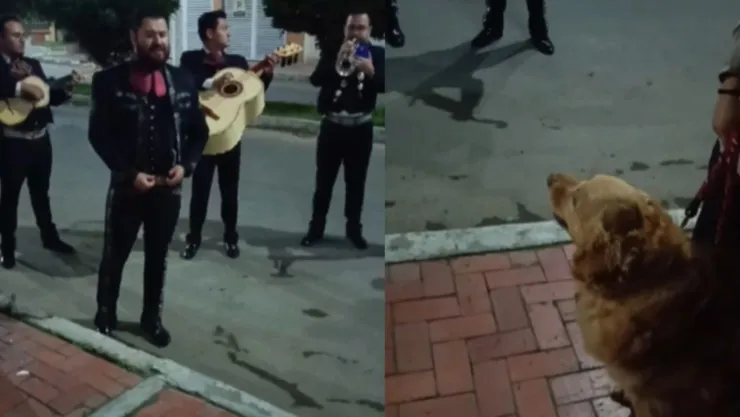 Despiden a perrita con serenata antes de morir. .jpg