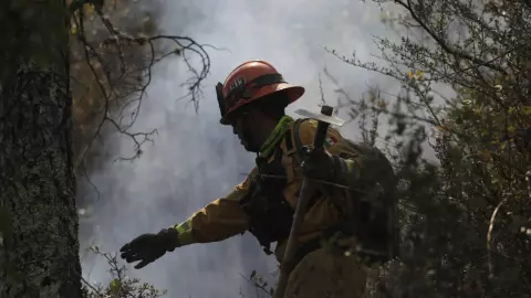 Incendio forestal en Coahuila y Nuevo León dejó 450 afectados