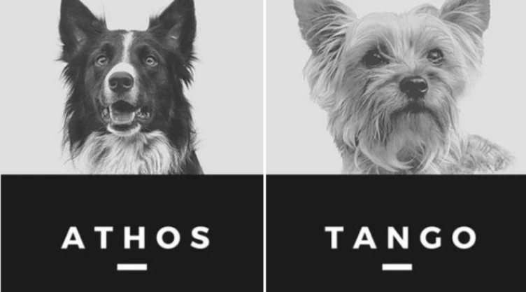 athos-tango.jpg