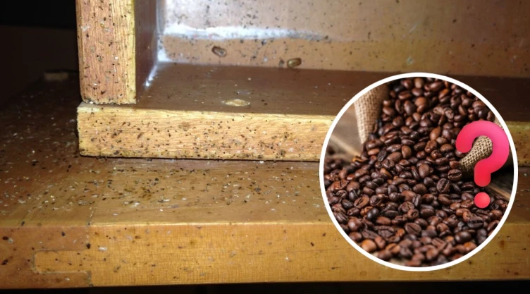 Encontrar restos parecidos a granos de café o pimienta en los muebles: qué significa y por qué no debes ignorarlo