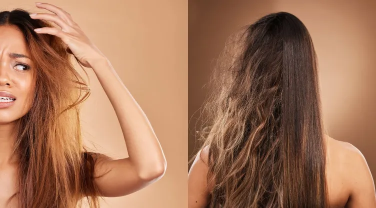 frizz humedad cabello