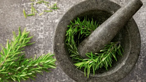 El romero es una de las plantas más queridas en el mundo del cuidado capilar