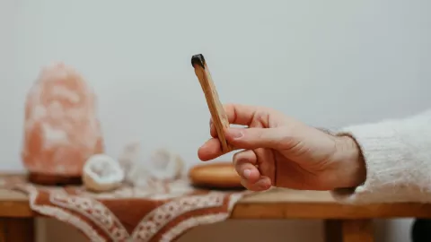 El significado del palo santo y en qué momentos usarlo