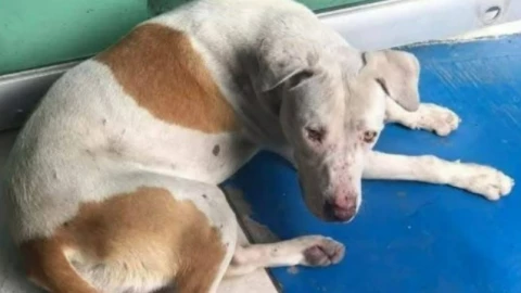 WhatsApp Image 2025-01-03 at 4.37.14 PM.jpeg