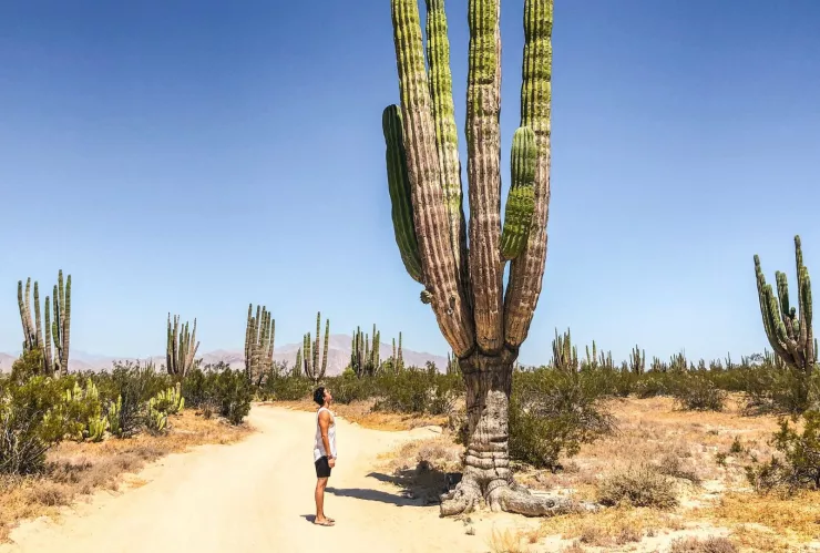 Ecoturismo en Baja California naturaleza, cultura y aventura responsable1.jpg