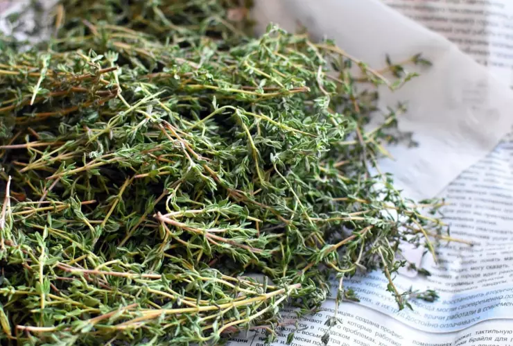 La hierba que te ayudará a mejorar la circulación de la sangre