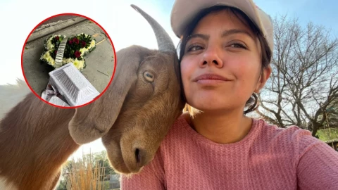 Protectora de animales en Edomex denunció amenaza de muerte a su hija.