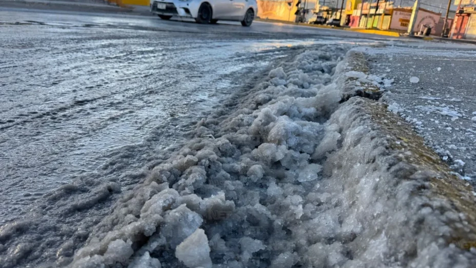 CHIHUAHUA CONGELADO.jpg