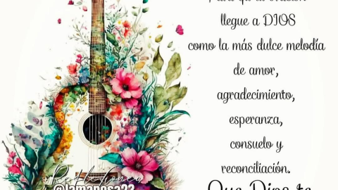 frases e imágenes de buenos días para WhatsApp bonitas gratis