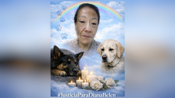 Caso Diana Belén_ Hallan Muerta a Rescatista de Animales en Edomex