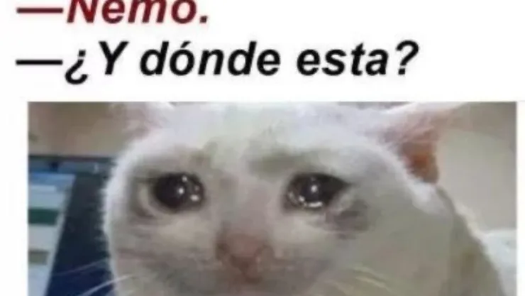 Meme San Valentín