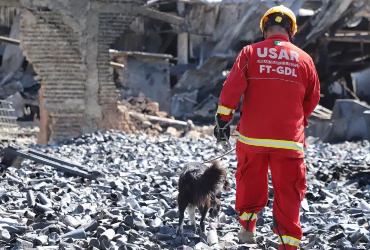Caninos buscan a desaparecidos Hoy 2 de mayo entre los escombros de la fábrica de aerosoles incendiada en Tlaquepaque