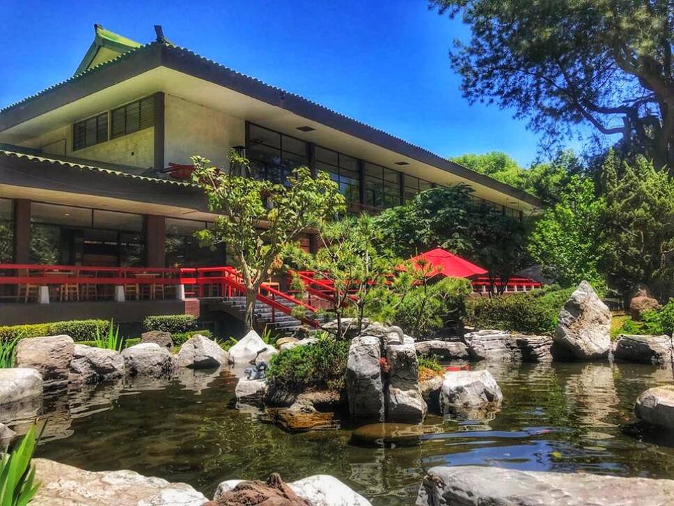 Asociacion Mexico Japonesa