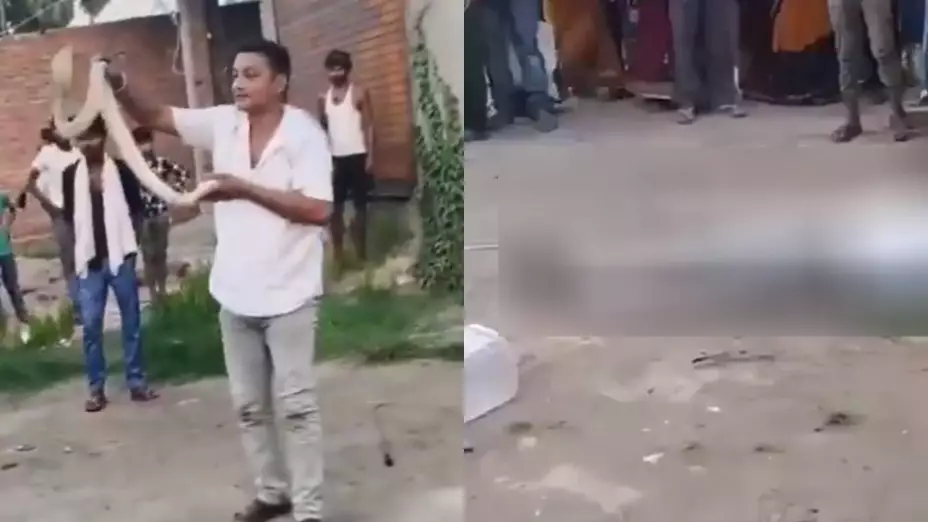 Entrenador de serpientes muere en India