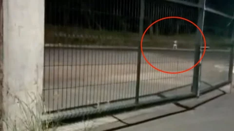 VIDEO Traileros reportan aparición de fantasma en Veracruz