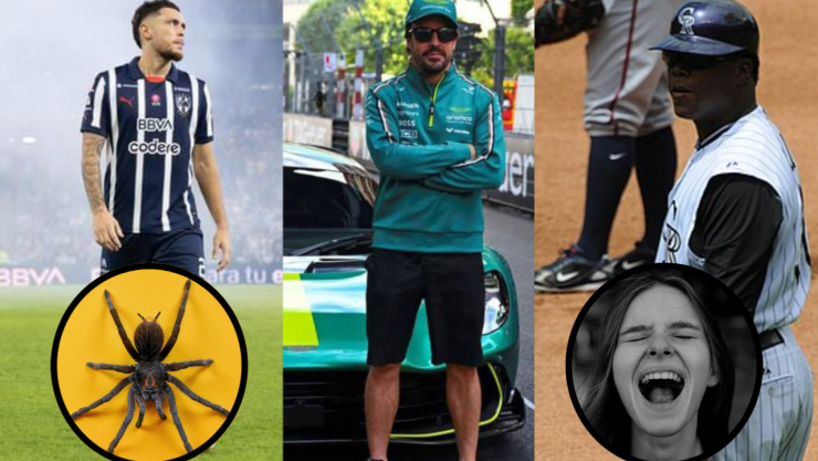 Tranquilo, no eres el único: estos famosos deportistas también le tienen miedo a las arañas