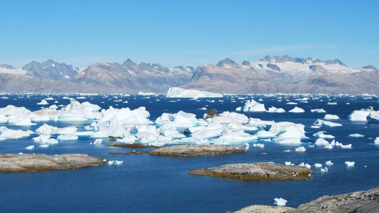 ¿Cuándo desaparecerá el hielo del Ártico según los expertos?.jpg