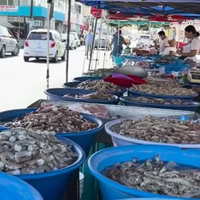 Crisis en La Changueras: violencia en Sinaloa hunde la venta de camarón en Mazatlán
