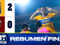 RESUMEN FINAL.jpg