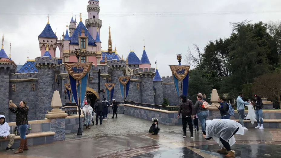 Disney_AP.jpg