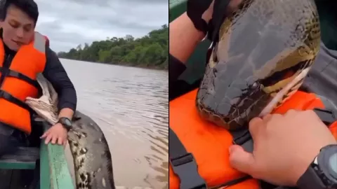 VIDEO | Anaconda ataca a un pescador y encaja sus colmillos sobre su estómago; así fue captado
