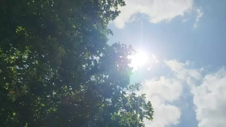 ¡Regresa el calor! Prevén semana INTENSA con hasta 40° C en estos municipios de Yucatán