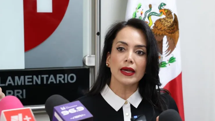 Irma Moreno, diputada del PRI. .jpg