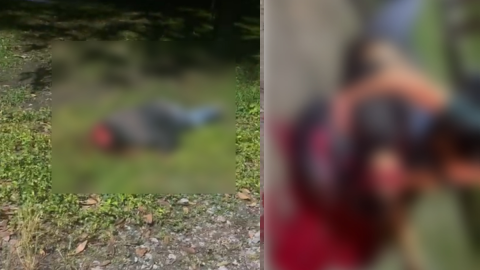 Muertos por riña