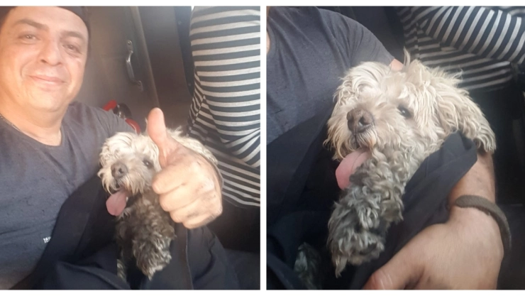 Metro CDMX EN VIVO ¿Qué pasa hoy martes 11 de junio de 2024?