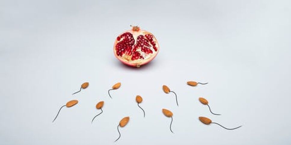 Crean método artificial para producir espermatozoides