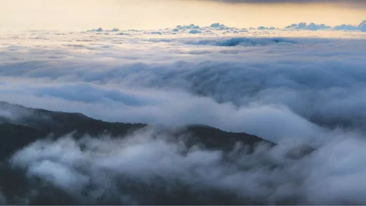 NEBLINA EN TIJUANA VIERNES 11