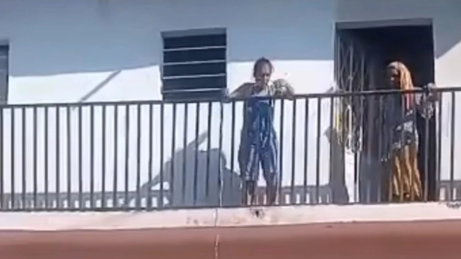 maltrato animal Chiapas