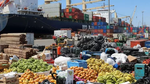 Productos afectados en el Puerto de Manzanillo