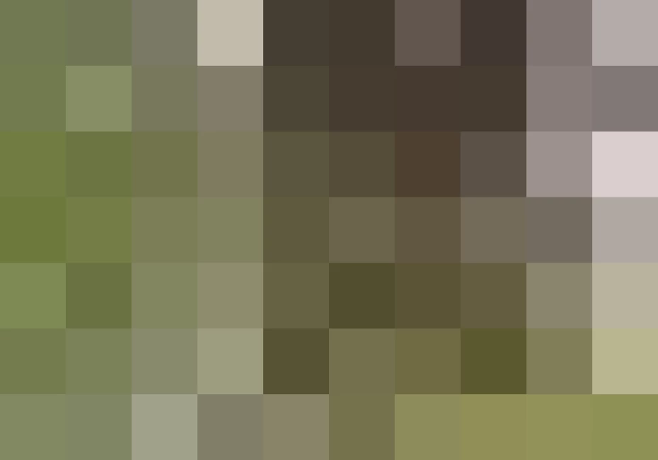 Trabajadores tailandeses y birmanos de la industria pesquera viven encerrados en una jaula en la isla indonesia de Benjina.