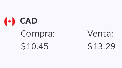Tipo de cambio en México: ¿A cuánto está el precio del dólar HOY 24 de agosto 2026?