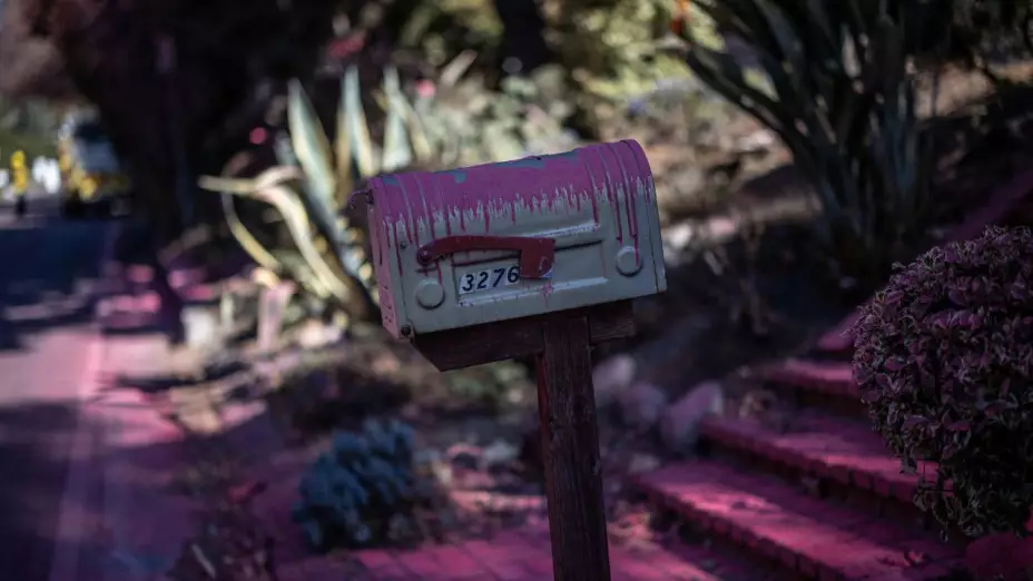 El Polvo rosa utilizado para combatir los incendios en Los Ángeles comienza a pintar casas, jardines y patios de su característica tonalidad.