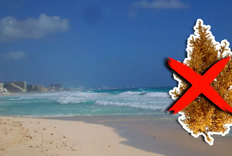 Estas son las playas sin sargazo en Quintana Roo HOY 10 de noviembre de 2025_ Cancún, Playa del Carmen, Tulum y más.webp