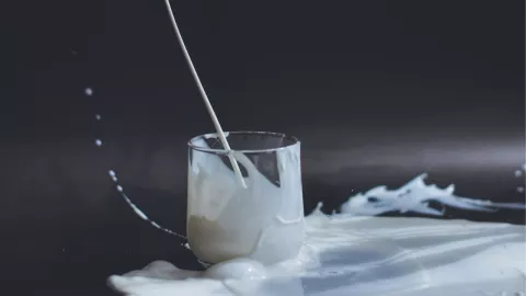 ¿Cuál es la bebida más hidratante para el cuerpo? Leche vs. Agua