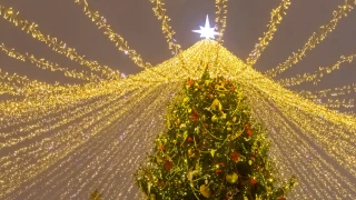 Encendido del árbol navideño en Parque Chapultepec.