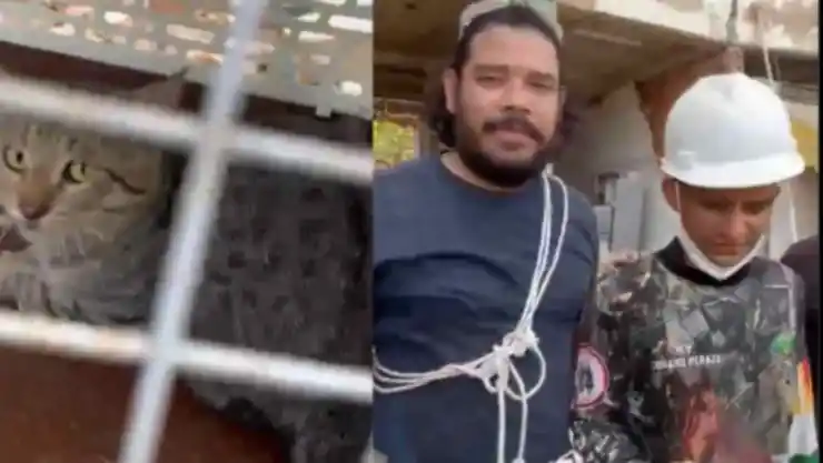 Héroes en la zona de desastre