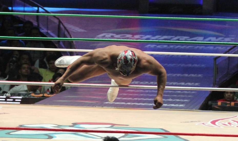 LUCHA LIBRE