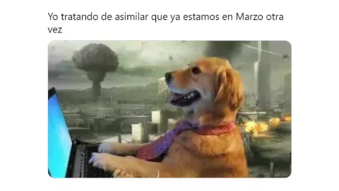meme marzo 4.webp
