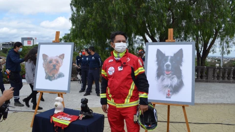 responsable_Athos_Tango