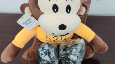 Guardia Nacional asegura narcopeluche en aeropuerto de Tijuana