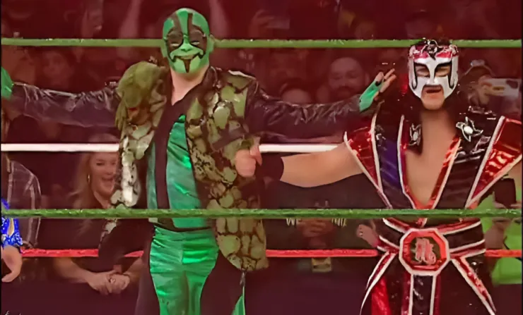 Luchadores AAA