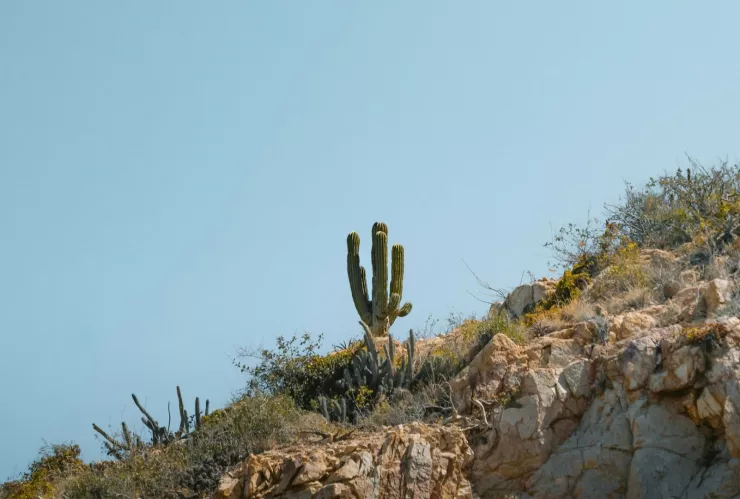 Turismo en Baja California entre paisajes únicos, gastronomía de talla mundial y experiencias para todos.jpg