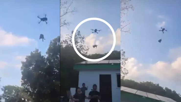 Jóvenes elevan a un perro con un dron y causan indignación en redes sociales