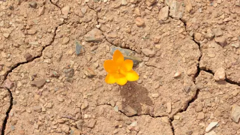 Agua potable en el planeta en riesgo
