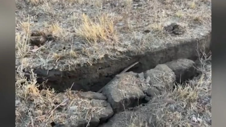 WhatsApp Image 2025-04-17 at 2.03.39 PM.jpeg